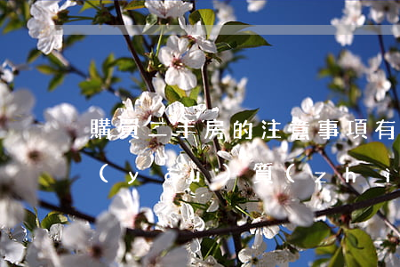 購買二手房的注意事項有哪些（注意選擇有優(yōu)質(zhì)資信、大品牌的中介公司）